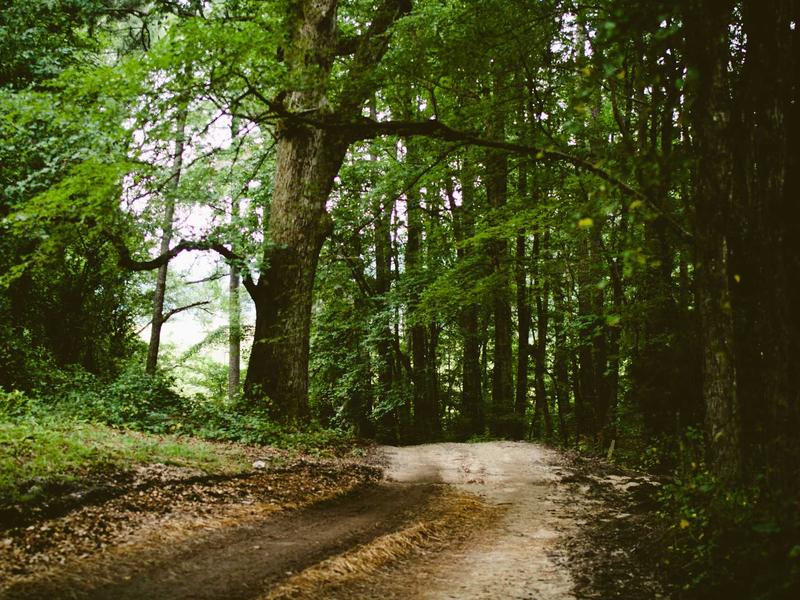 sudoku neon theme screenshot 5